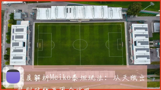 深度解析Meiko泰坦玩法:从天赋出装到对线开团全攻略