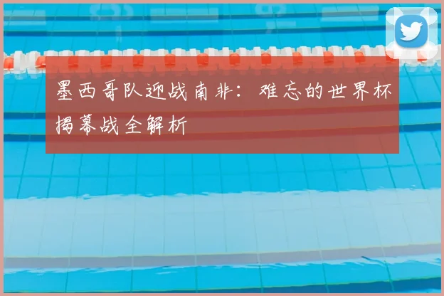 墨西哥队迎战南非：难忘的世界杯揭幕战全解析